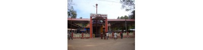 மண்டைக்காடு பகவதி - தமிழ்நாடு